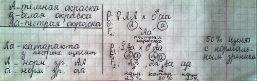 Темной окраски собак доминирует над геном белой при скрещивании гомозиготных и белых собак получаютс
