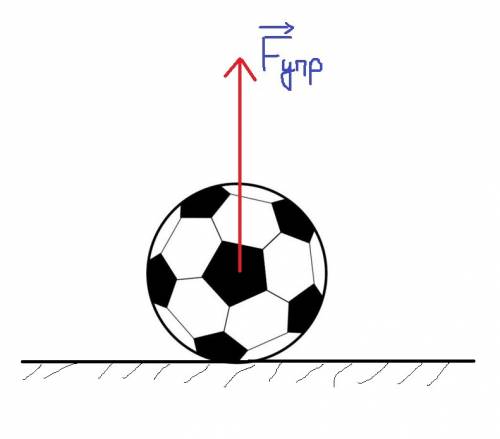 Укажите направление силы , действующей на мяч, в момент его удара о пол. сделайте рисунок.