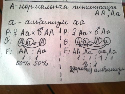 У2-ух здоровых родителей родился ребёнок альбинос, 2-ой нормальный. определите генотипы родителей и 