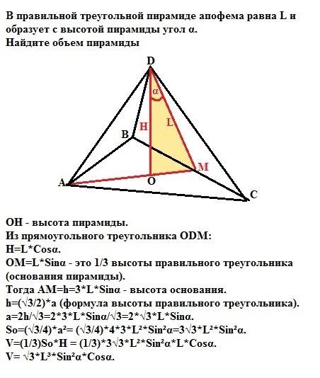 Вправильной треугольной пирамиде апофема равна l и образует с высотой пирамиды угол a. найдите объем