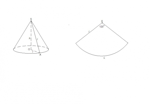 Вычислите площадь основания и высоту конуса, если развёрткой его боковой поверхности является сектор