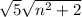  \sqrt{5}\sqrt{n^2+2}