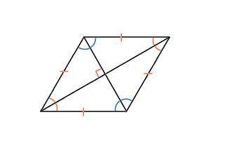 Углы, образуемые диагоналями ромба с одной из его сторон, относятся как 2: 7. найдите углы ромба.