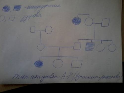 Идеальные выборы: мои предложения