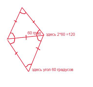 Одна из диагоналилей ромба равна его стороне .вычеслите его углы.