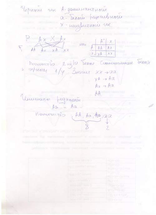 Проходной балл ЕГЭ по специальностям Казанский институт менеджмента КИМ