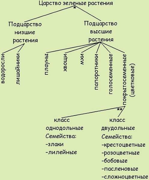 Верны ли утверждения? А) Товарные запасы обладают большей ликвидностью, чем текущая дебиторская задо