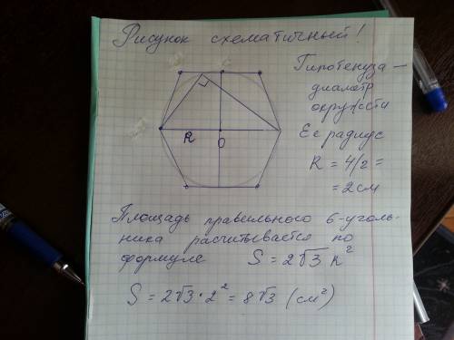 Денис полил 4 герани и 1 бегонию. Сколько всего цветов должен был полить Дима, если ему осталось пол