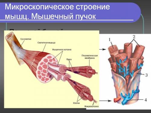 В двух мотках 92 м шпагата. От первого мотка отрезали 27 м, а от второго — 19 м. Сколько метров шпаг