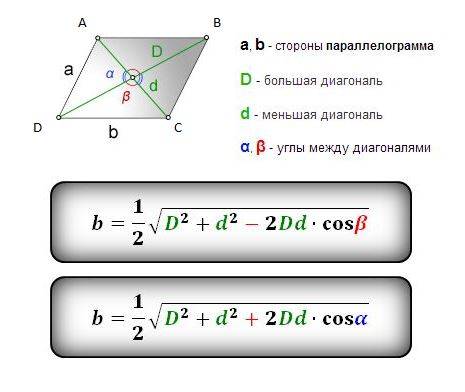 Поясните значение модификационной изменчивости в жизни организма.