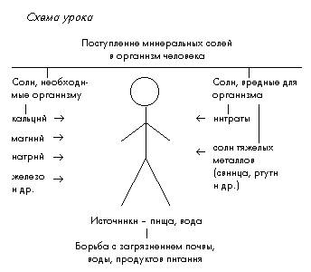 Почему применительно к конкретным природным условиям правильнее говорить о пищевых сетях, а не о пищ