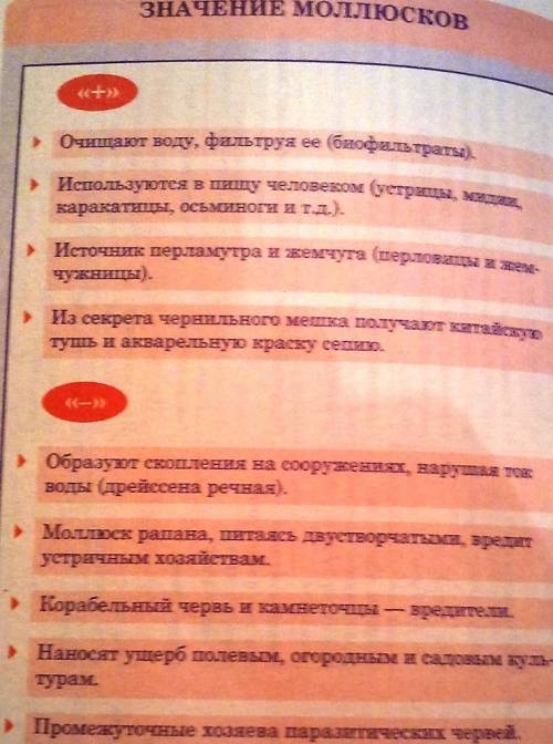 Современные немецкие педагоги разработали концепцию целостной школы школьной дифференциации