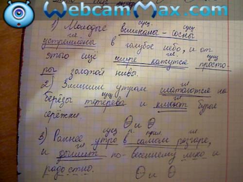 )выделить основу предложения (подлежащее+ сказуемое) и если есть однородные члены предложения 1. мол