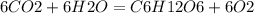 6CO2+6H2O=C6H12O6+6O2