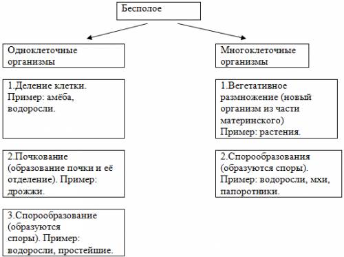 Заполните пропуски в схеме. Партизанское движение в 1812 г. Летучие армейские отряды