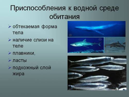 Какую работу надо совершить, чтобы перенести точечный заряд q = 20 нКл из бесконечности в точку, нах