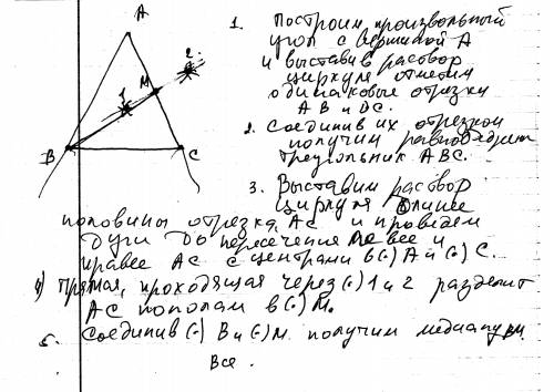 Начертите равнобедренный треугольник авс с основанием вс. с циркуля и линейки проведите медиану вв1 