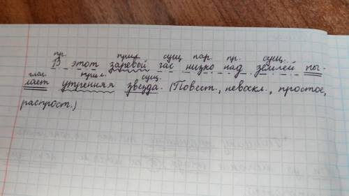 В каком году в Европе была создана Священная лига для борьбы с Турцией?