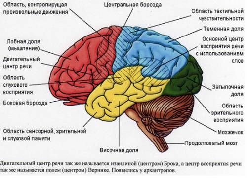 Две аккумуляторные батареи (ε1 = 8 В, r1 = 2 Ом; ε2 = 6 В⋅, r2 = 1,5 Ом) включены параллельно и согл