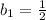 b_1=\frac{1}{2}