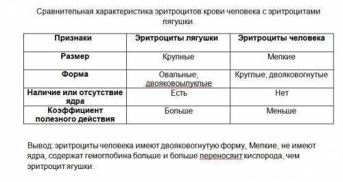 Какой предмет сделал солдата из сказки Андерсена счастливым?