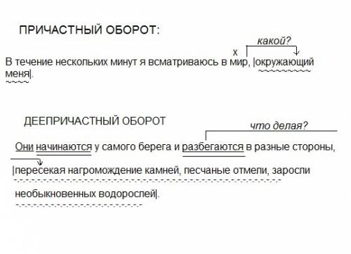 Графически выделить причасные и деепречасные обороты. сделать синтаксический разбор выделеного предл