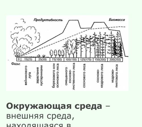 Составить схему сукцессии на месте хвойного леса, уничтоженного . подробно,