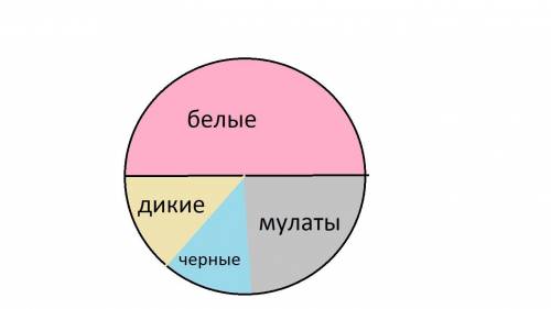 Составь круговую диаграмму о расах жителей бразилии используя данную информацию! объясни, почему обр