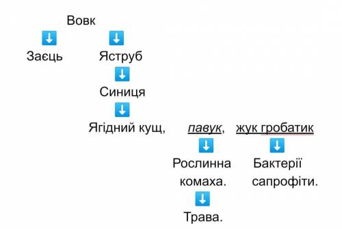 Складіть схему харчової мережі до якої входять такі організми: трава, ягідний кущ, заєць, вовк, росл