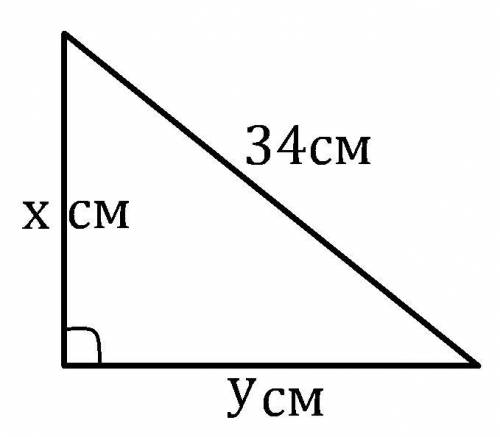 Найдите площадь и периметр прямоугольного треугольника если сумма его катетов равна 46см,а гипотенуз