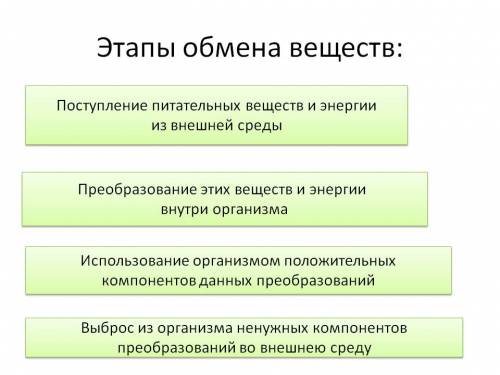 8класс. нарисуйте схему поступления всех необходимых веществ в организм. или хотя бы напишите их. за