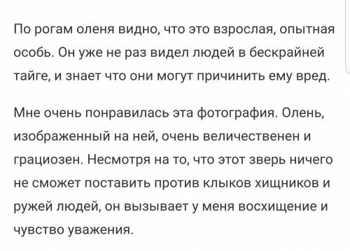 110 . нужно написать сочинение про этого оленя. умоляю