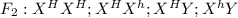 F_{2} : X^{H}X^{H} ; X^{H}X^{h} ; X^{H}Y ; X^{h}Y