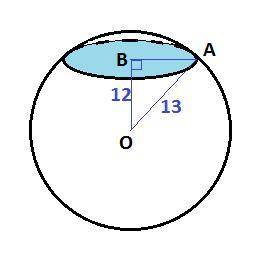Шар, радиус которого 13 см пересечен плоскостью на расстоянии 12 см от центра. найдите площадь сечен