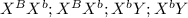 X^{B}X^{b} ; X^{B}X^{b}; X^{b}Y ; X^{b}Y