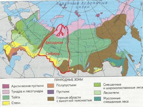 Почвы западной-сибири почвы характеристика и быт и хозяйство растительно характеристика животные хар