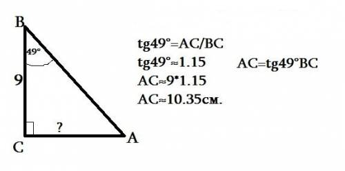 Втреугольнике авс угол с =90 градусов,угол в =49градусов,вс=9см. нийдите длину ас? нужно