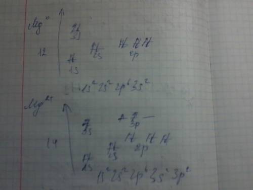 Чем отличаются по строению атомы и ионы следующих элементов: cl 0 и cl-; mg 0 и mg 2+ ? надо