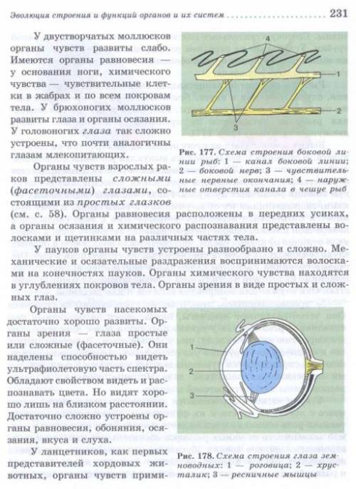 Мне нужны фотографии страниц учебника по биологии за 7 класс(в.в.латюшин и в.а.шапкин) с 231 по 233(