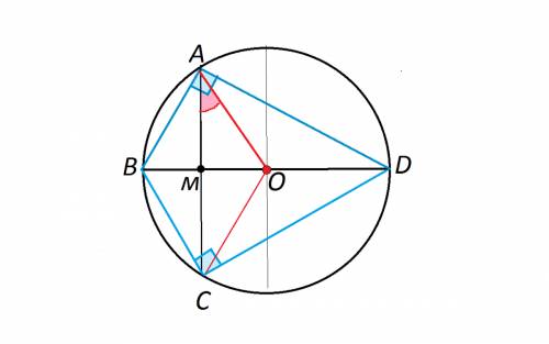 Отрезок bd -диаметр окружности с центром о.хорда ac делит пополам радиус ob и перпендикулярна у нему