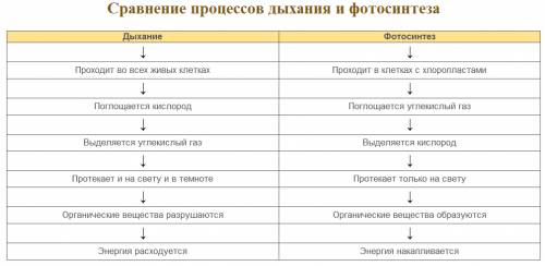 Зополните таблицу сопостовление процессов фотосинтоза и дыхания