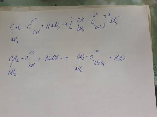 100 ! составьте уравнение реакций аминоэтановой кислоты с а) азотной кислотой (hno3), б) гидроксидом