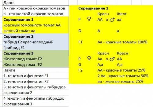 Утоматов ген, обуславливающий красный цвет плодов, доминирует над геном их желтой окраски. какие по