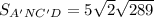 S_{A'NC'D}=5\sqrt{2}\sqrt{289}