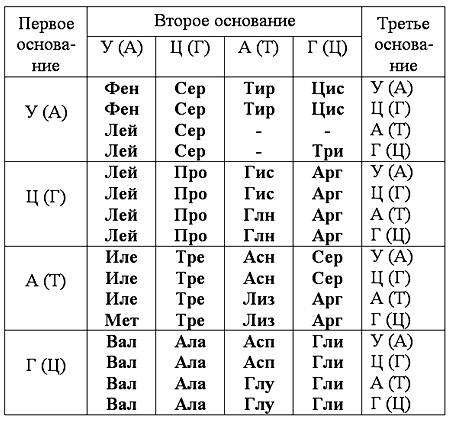 1.последовательность нуклеотидов в начале гена, хранящего информацию о белке инсулине, начинается та