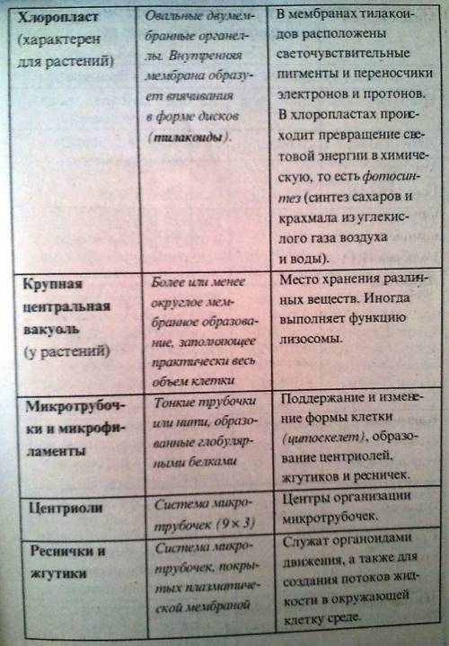 1.что такое субъекция? 2. описать строение клетки растения и животного ( по школьной программе). + ф