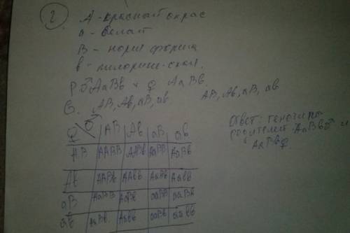 1-белок состоит из 120 аминокислот. установите число нуклеотидов участков днк и ирнк кодирующие данн