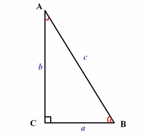 Найти косинусы острых углов прямоугольного треугольника, зная, что радиус описанной окружности относ