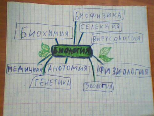 Нужна схема нужна схема как связана биология с другими науками(такими как: вирусология,зоология и др