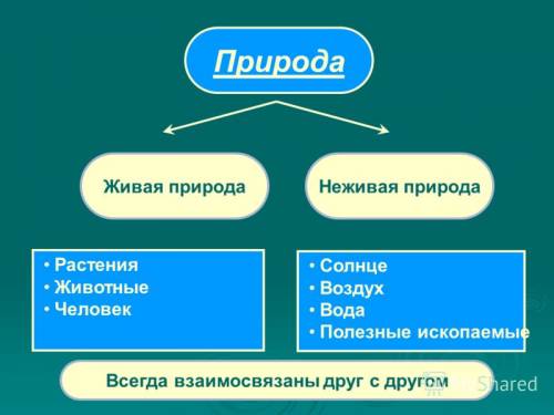 Мне нужны рисунки, фото на тему взаимосвязь в живой и неживой природе. если можно подкиньте сайт с к